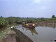 [Pic: Mangrove boats] 