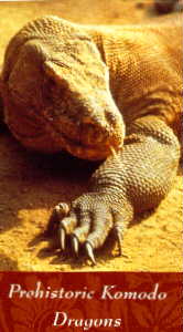 Prehistoric Komodo Dragons